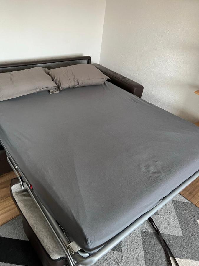 Super Appartement Colmar Centre Екстериор снимка
